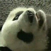 兰良开