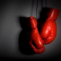 Micheal Gloves Guides