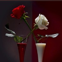 sajad zare