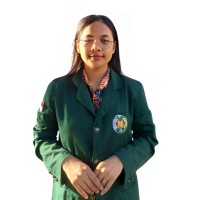 Yohana Diva Br. Silitonga