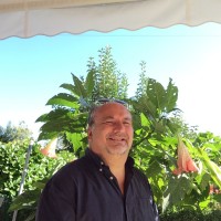 Rocco Surace
