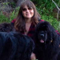 Laurie Schell Ccs