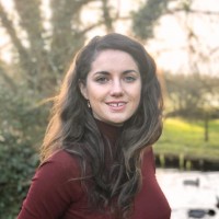 Faye Bird