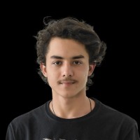 Carlos Eduardo Stein