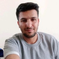 mohammad mirzadeh