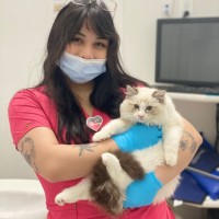 Haley Ramirez