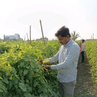 Nilesh Khule