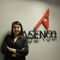 Ayşe Keskin,CMSE®,CEFS®