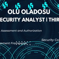 Olu Oladosu