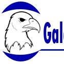Galayr Consultancy Firm
