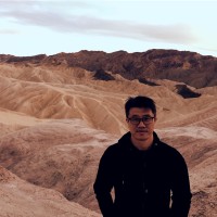 Terry Kim
