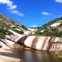 申玉林