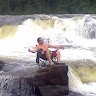 steve thiffeault