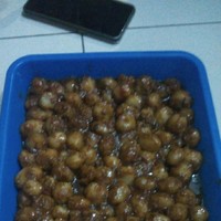 Rian Gerry Natta