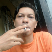Danio Fx