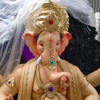 Sanket S