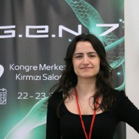 Altun Tokan