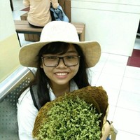 Linh Phan
