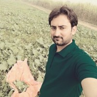 Ali Bajwaa