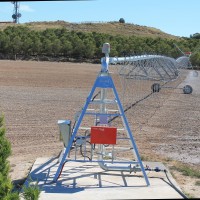 Wilfredo Gatell pino