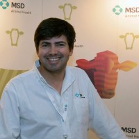 Pedro David