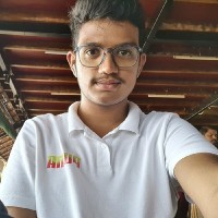 Vismay P