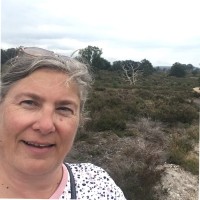 Carola Van Giessen-Davelaar