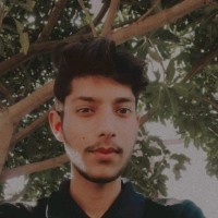 Ayush Pathania