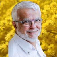 ☀️ Nicolas THEBAULT