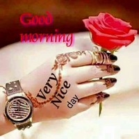 Mansoorali Mansoorali