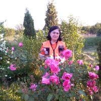 mirela crusoveanu