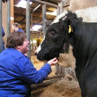 Hanneke Hinfelaar-Lasschuit