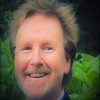 Steven Wallis