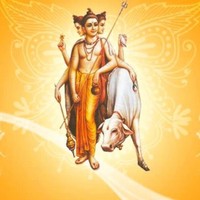 Pradeep Pawar