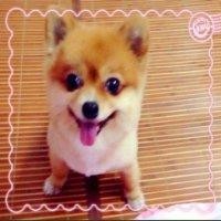 孙世鹏