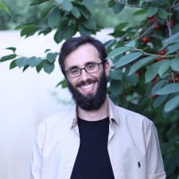 Seyed Amir Ghazaei