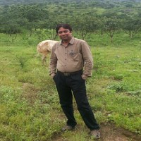 Dineshkumar Chudasama