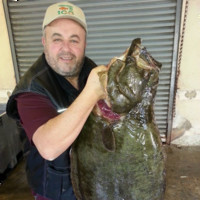 Joey Principato