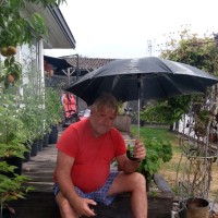 Magnus Barkow