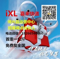 赵迎春