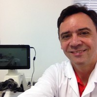 Francisco Carlos de Alcântara