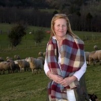 Margaret Hoctor