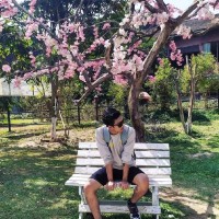 Aung Phone