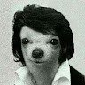 Dan OV