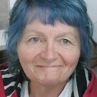 Delyth Lloyd-Williams