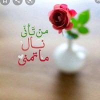 مطبخ نونو مطبخ نونو