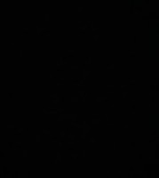 Mohamed Hamd