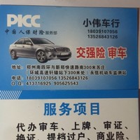 薛伟伟