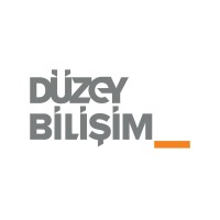 Düzey Bilişim