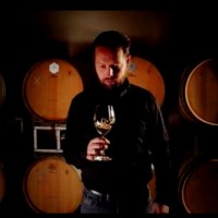 Robin van der Coelen